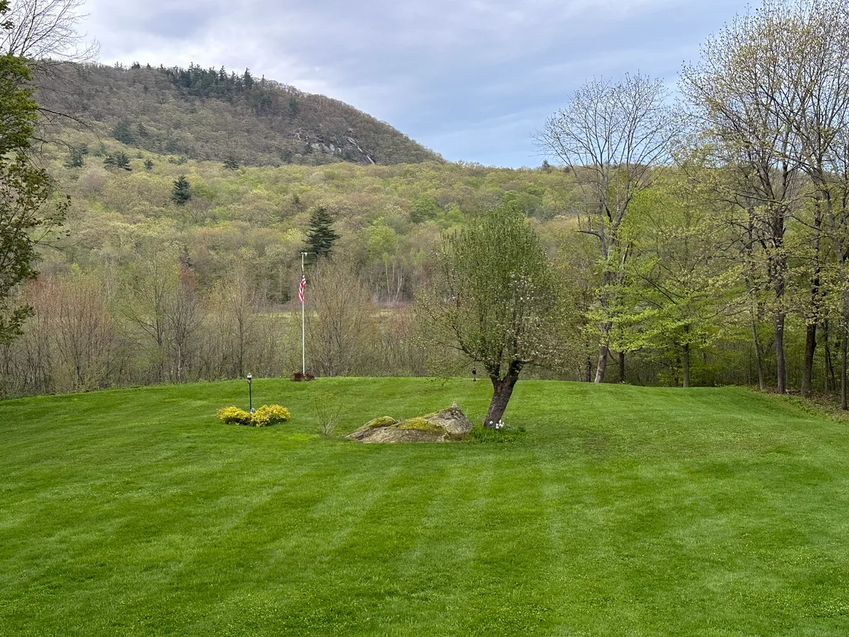 Professional lawn treatment